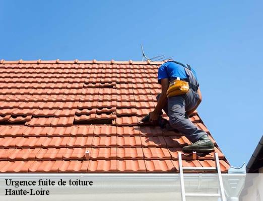 Urgence fuite de toiture 43 Haute-Loire  DORKELD Couvreur zinguerie 43
