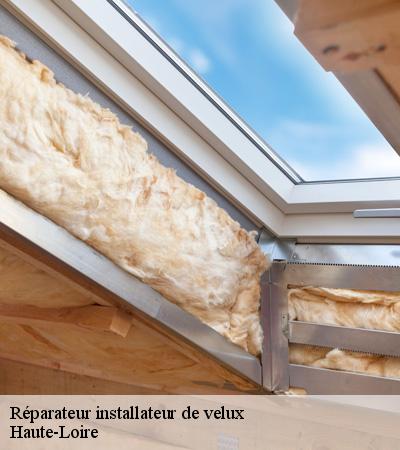 Réparateur installateur de velux 43 Haute-Loire  DORKELD Couvreur zinguerie 43