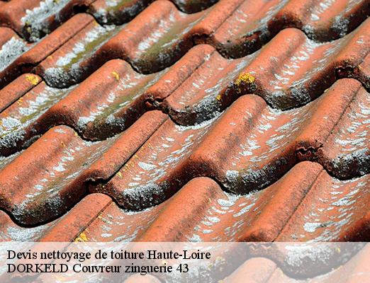 Devis nettoyage de toiture 43 Haute-Loire  DORKELD Couvreur zinguerie 43