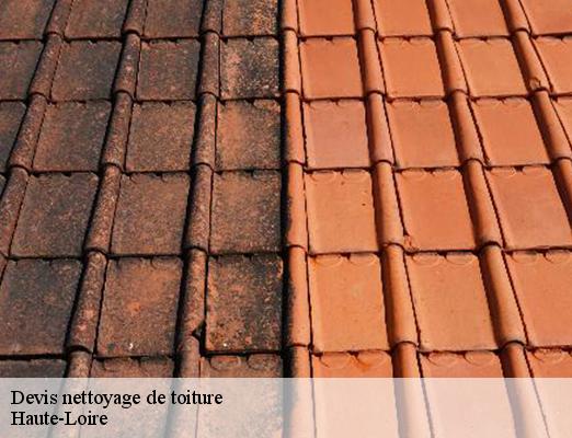 Devis nettoyage de toiture 43 Haute-Loire  DORKELD Couvreur zinguerie 43