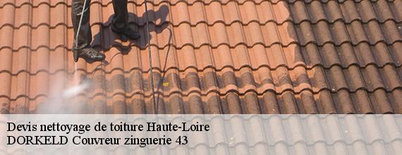 Devis nettoyage de toiture 43 Haute-Loire  DORKELD Couvreur zinguerie 43
