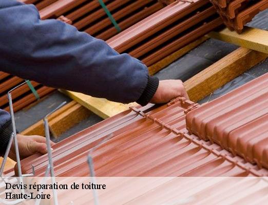 Devis réparation de toiture 43 Haute-Loire  DORKELD Couvreur zinguerie 43