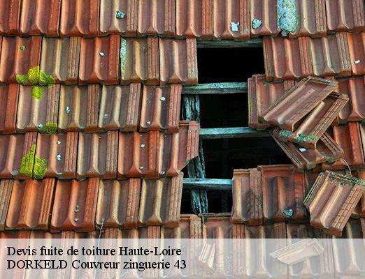 Devis fuite de toiture 43 Haute-Loire  DORKELD Couvreur zinguerie 43