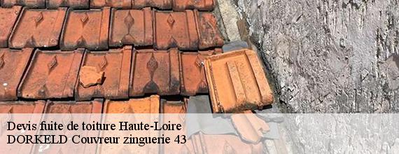 Devis fuite de toiture 43 Haute-Loire  DORKELD Couvreur zinguerie 43