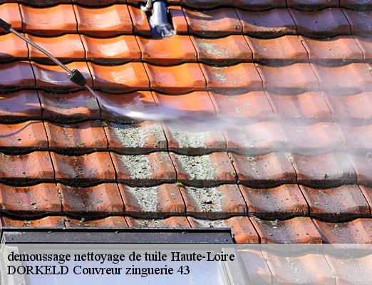 demoussage nettoyage de tuile 43 Haute-Loire  DORKELD Couvreur zinguerie 43
