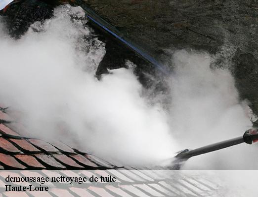 demoussage nettoyage de tuile 43 Haute-Loire  DORKELD Couvreur zinguerie 43
