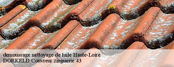 demoussage nettoyage de tuile 43 Haute-Loire  DORKELD Couvreur zinguerie 43