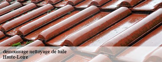 demoussage nettoyage de tuile 43 Haute-Loire  DORKELD Couvreur zinguerie 43