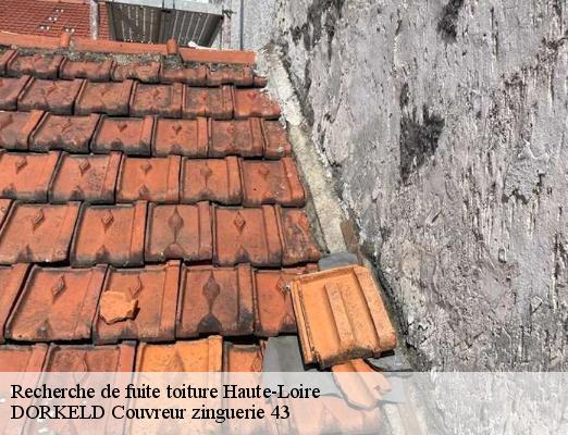 Recherche de fuite toiture 43 Haute-Loire  DORKELD Couvreur zinguerie 43
