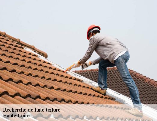 Recherche de fuite toiture 43 Haute-Loire  DORKELD Couvreur zinguerie 43