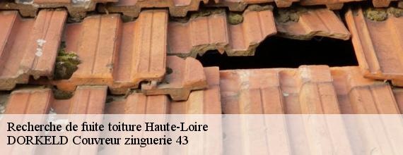 Recherche de fuite toiture 43 Haute-Loire  DORKELD Couvreur zinguerie 43