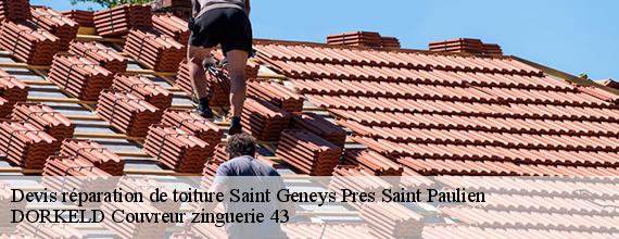 Devis réparation de toiture  saint-geneys-pres-saint-paulien-43350 DORKELD Couvreur zinguerie 43