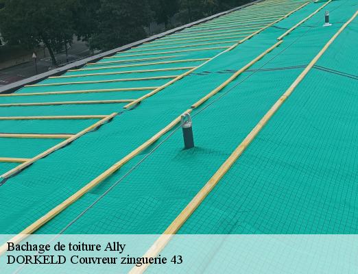Bachage de toiture  ally-43380 DORKELD Couvreur zinguerie 43