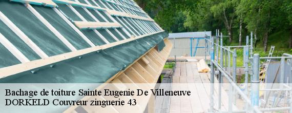 Bachage de toiture  sainte-eugenie-de-villeneuve-43230 DORKELD Couvreur zinguerie 43