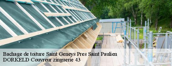 Bachage de toiture  saint-geneys-pres-saint-paulien-43350 DORKELD Couvreur zinguerie 43