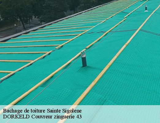 Bachage de toiture  sainte-sigolene-43600 DORKELD Couvreur zinguerie 43
