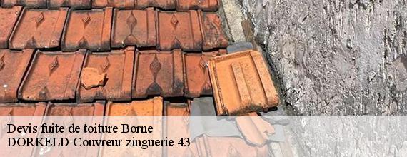Devis fuite de toiture  borne-43350 DORKELD Couvreur zinguerie 43