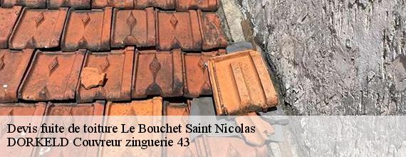 Devis fuite de toiture  le-bouchet-saint-nicolas-43510 DORKELD Couvreur zinguerie 43