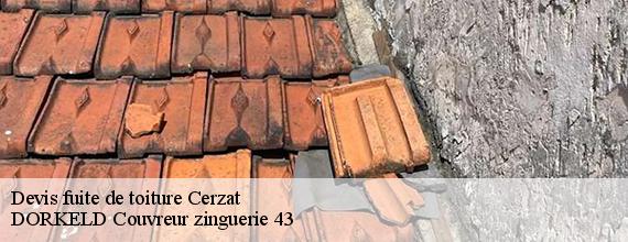 Devis fuite de toiture  cerzat-43380 DORKELD Couvreur zinguerie 43