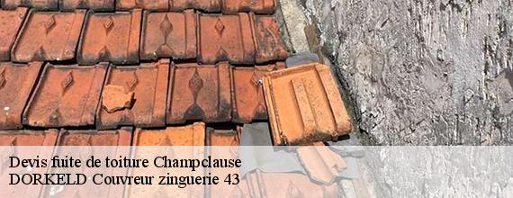 Devis fuite de toiture  champclause-43260 DORKELD Couvreur zinguerie 43