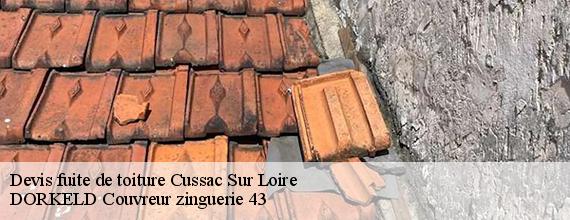 Devis fuite de toiture  cussac-sur-loire-43370 DORKELD Couvreur zinguerie 43