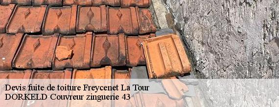 Devis fuite de toiture  freycenet-la-tour-43150 DORKELD Couvreur zinguerie 43