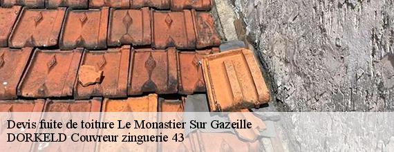 Devis fuite de toiture  le-monastier-sur-gazeille-43150 DORKELD Couvreur zinguerie 43