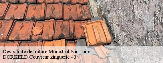Devis fuite de toiture  monistrol-sur-loire-43120 DORKELD Couvreur zinguerie 43