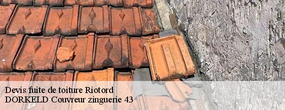 Devis fuite de toiture  riotord-43220 DORKELD Couvreur zinguerie 43
