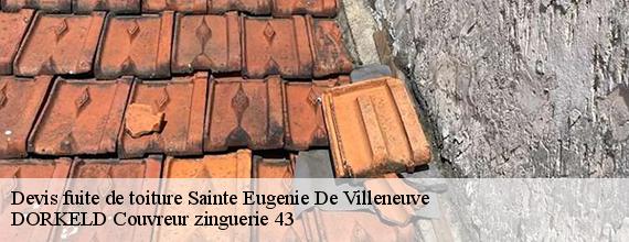 Devis fuite de toiture  sainte-eugenie-de-villeneuve-43230 DORKELD Couvreur zinguerie 43