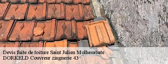 Devis fuite de toiture  saint-julien-molhesabate-43220 DORKELD Couvreur zinguerie 43