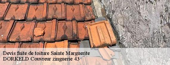 Devis fuite de toiture  sainte-marguerite-43230 DORKELD Couvreur zinguerie 43