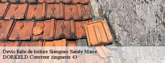 Devis fuite de toiture  siaugues-sainte-marie-43300 DORKELD Couvreur zinguerie 43