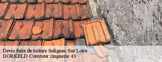 Devis fuite de toiture  solignac-sur-loire-43370 DORKELD Couvreur zinguerie 43
