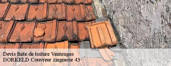 Devis fuite de toiture  venteuges-43170 DORKELD Couvreur zinguerie 43