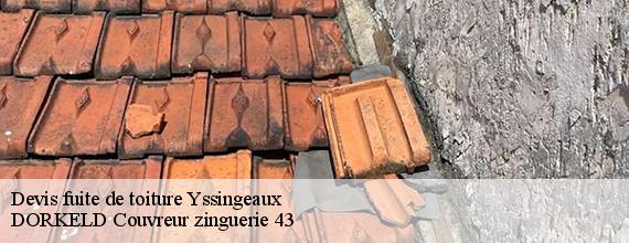 Devis fuite de toiture  yssingeaux-43200 DORKELD Couvreur zinguerie 43