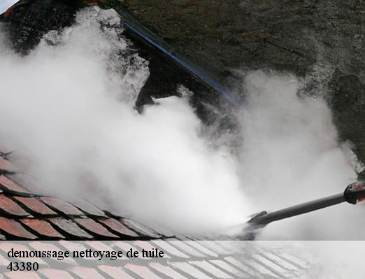 demoussage nettoyage de tuile  ally-43380 DORKELD Couvreur zinguerie 43