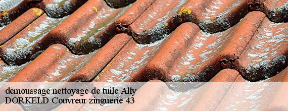 demoussage nettoyage de tuile  ally-43380 DORKELD Couvreur zinguerie 43