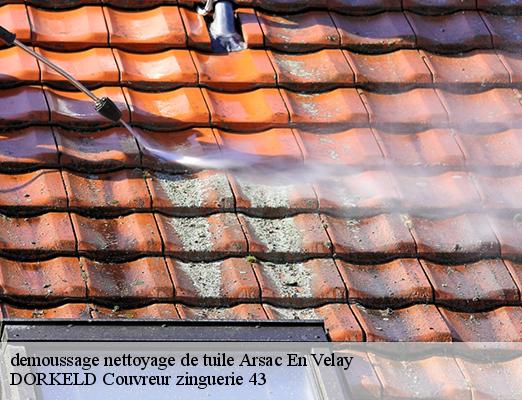 demoussage nettoyage de tuile  arsac-en-velay-43700 DORKELD Couvreur zinguerie 43
