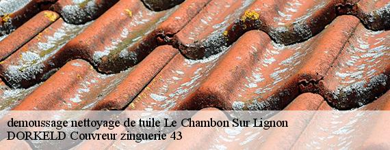 demoussage nettoyage de tuile  le-chambon-sur-lignon-43400 DORKELD Couvreur zinguerie 43