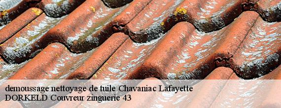 demoussage nettoyage de tuile  chavaniac-lafayette-43230 DORKELD Couvreur zinguerie 43