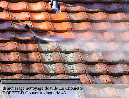 demoussage nettoyage de tuile  la-chomette-43230 DORKELD Couvreur zinguerie 43