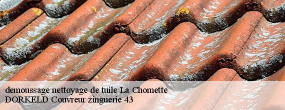 demoussage nettoyage de tuile  la-chomette-43230 DORKELD Couvreur zinguerie 43