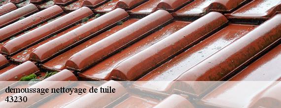 demoussage nettoyage de tuile  la-chomette-43230 DORKELD Couvreur zinguerie 43