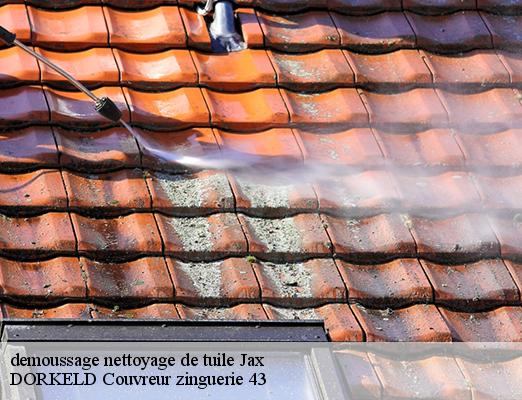 demoussage nettoyage de tuile  jax-43230 DORKELD Couvreur zinguerie 43