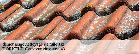 demoussage nettoyage de tuile  jax-43230 DORKELD Couvreur zinguerie 43