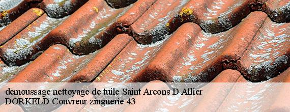 demoussage nettoyage de tuile  saint-arcons-d-allier-43300 DORKELD Couvreur zinguerie 43