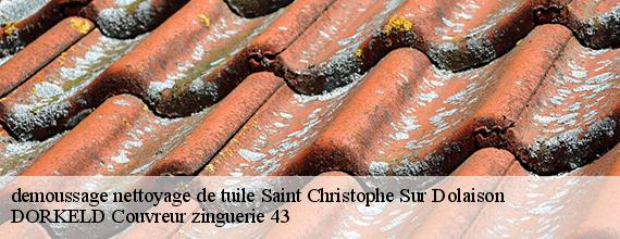 demoussage nettoyage de tuile  saint-christophe-sur-dolaison-43370 DORKELD Couvreur zinguerie 43