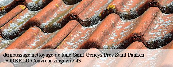 demoussage nettoyage de tuile  saint-geneys-pres-saint-paulien-43350 DORKELD Couvreur zinguerie 43