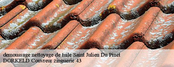 demoussage nettoyage de tuile  saint-julien-du-pinet-43200 DORKELD Couvreur zinguerie 43